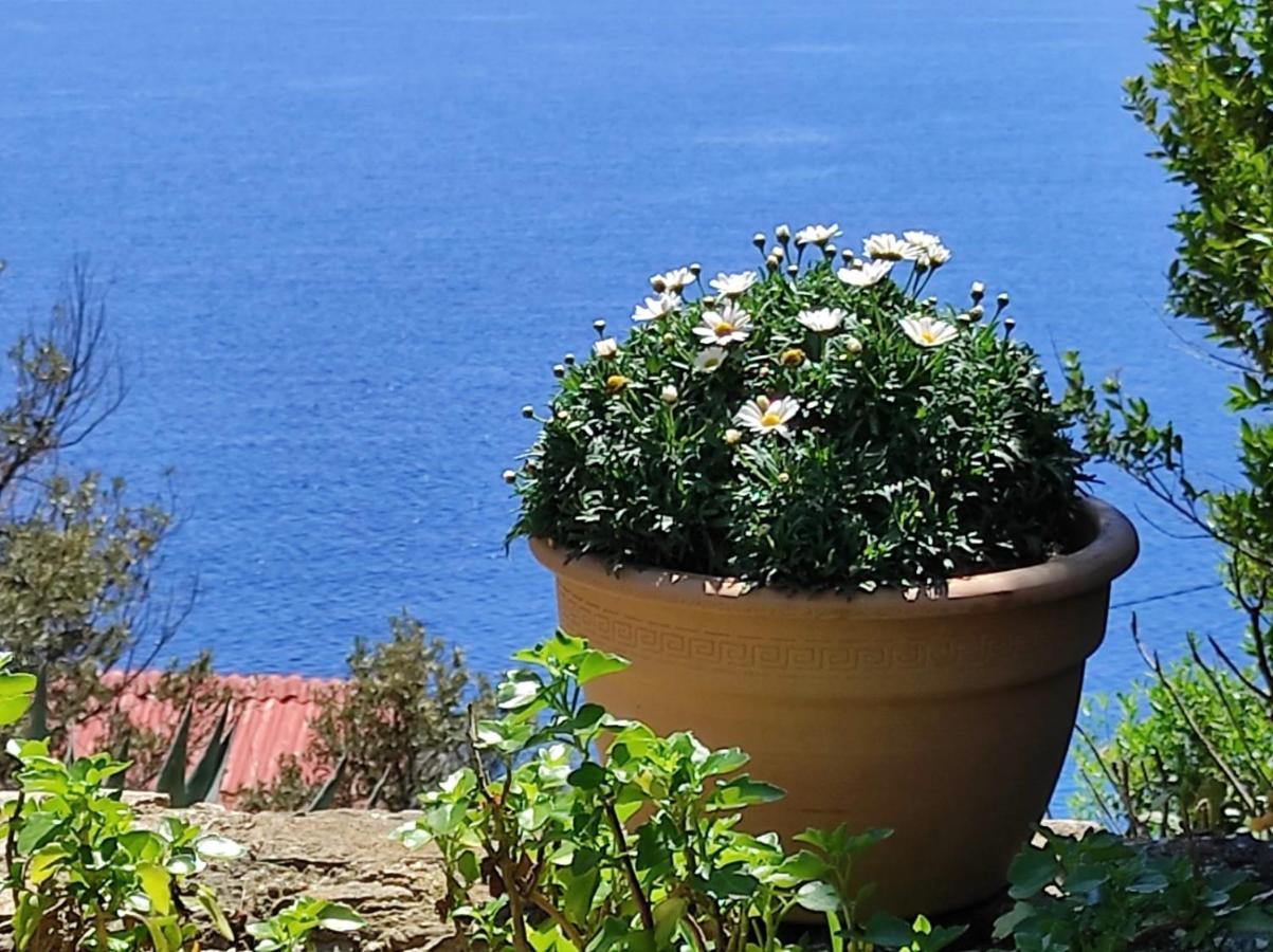 Getaway House Gundula Villa Podstrazje Dış mekan fotoğraf